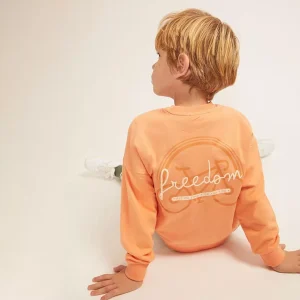 Sudadera Freedom
