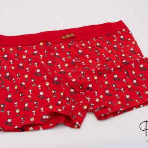 Boxer Rojo Navideño